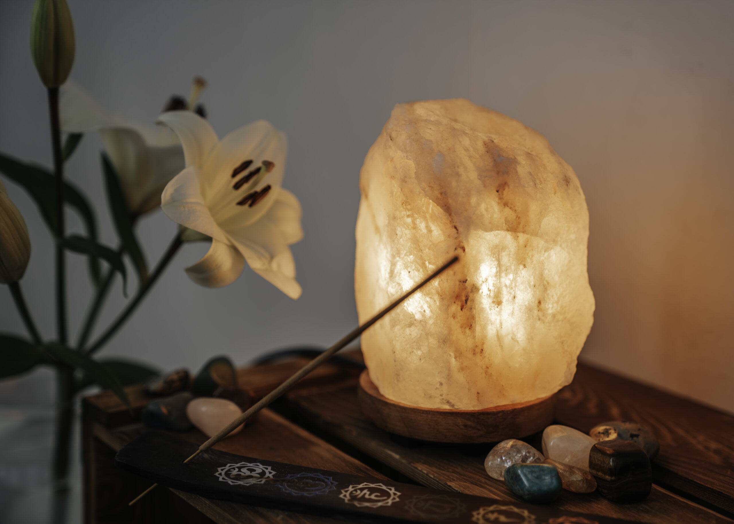 Les Petits Soins de Solène